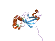 1xw4: Crystal Structure of Human Sulfiredoxin (Srx) in Complex with ADP