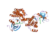 1yol: Crystal structure of Src kinase domain in complex with CGP77675