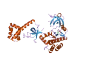 2a1a: PKR kinase domain-eIF2alpha Complex