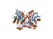 2a8i: Crystal Structure of human Taspase1