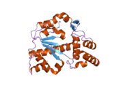 2ad1: Human Sulfotransferase SULT1C2