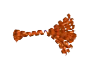 2b19: Solution Structure of mammalian tachykinin peptide, Neuropeptide K