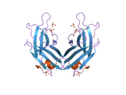 2b3r: Crystal structure of the C2 domain of class II phosphatidylinositide 3-kinase C2