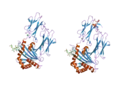 2bc4: Crystal structure of HLA-DM