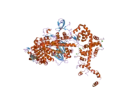 2bki: MYOSIN VI NUCLEOTIDE-FREE (MDINSERT2-IQ) CRYSTAL STRUCTURE