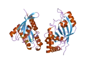 2bov: MOLECULAR RECOGNITION OF AN ADP-RIBOSYLATING CLOSTRIDIUM BOTULINUM C3 EXOENZYME BY RALA GTPASE