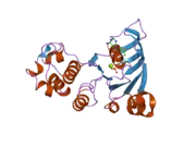 2cbz: STRUCTURE OF THE HUMAN MULTIDRUG RESISTANCE PROTEIN 1 NUCLEOTIDE BINDING DOMAIN 1