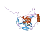 2cl3: CRYSTAL STRUCTURE OF HUMAN CLEAVAGE AND POLYADENYLATION SPECIFICITY FACTOR 5 (CPSF5)