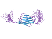 2cpc: Solution structure of RSGI RUH-030, an Ig like domain from human cDNA