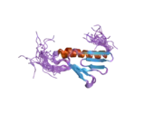 2cql: Solution structure of the N-terminal domain of human ribosomal protein L9