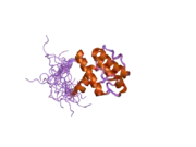 2d87: Solution structure of the CH domain from human Smoothelin splice isoform L2