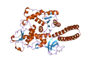 2de0: Crystal structure of human alpha 1,6-fucosyltransferase, FUT8