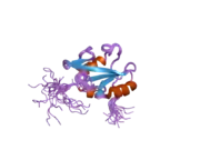 2dlz: Solution structure of the SH2 domain of human protein vav-2