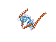 2ela: Crystal Structure of the PTB domain of human APPL1