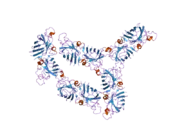 2gbv: C6A/C111A/C57A/C146A holo CuZn Superoxide dismutase