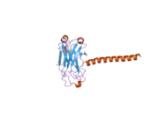 2gkw: Key contacts promote recognition of BAFF-R by TRAF3