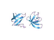 2gnc: Crystal structure of srGAP1 SH3 domain in the slit-robo signaling pathway