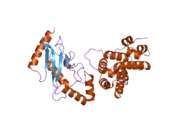 2grq: Crystal Structure of human RanGAP1-Ubc9-D127A