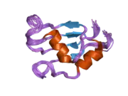 2hgn: NMR structure of the third qRRM domain of human hnRNP F