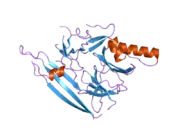 2hz6: The crystal structure of human IRE1-alpha luminal domain