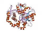 2iso: Ternary complex of DNA Polymerase beta with a dideoxy terminated primer and 2'-deoxyguanosine 5'-beta, gamma-difluoromethylene triphosphate