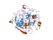 2jh0: HUMAN THROMBIN HIRUGEN INHIBITOR COMPLEX.