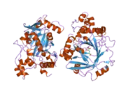 2oq7: The crystal structure of JMJD2A complexed with Ni and N-oxalylglycine