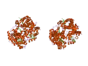 2yrs: Human hemoglobin D Los Angeles: crystal structure