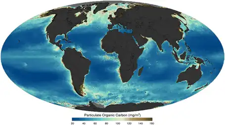 Image 32Ocean particulate organic matter (POM) as imaged by a satellite in 2011 (from Marine food web)