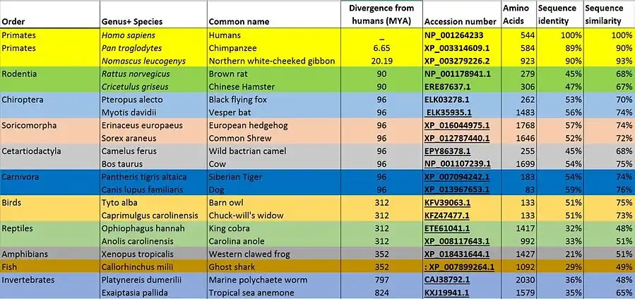 POTEB Ortholog table