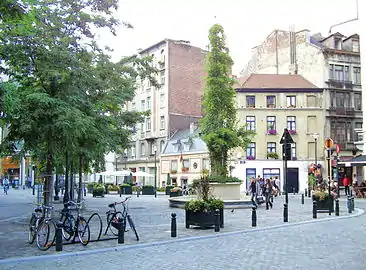 Place du Jardin aux Fleurs/Bloemenhofplein