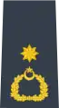 A PAF Wing Commander's shoulder insignia