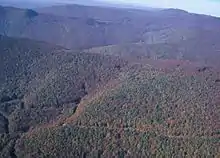 View from the air of a forest-covered mountain