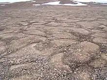 ... with patterned ground on Devon Island in the Canadian Arctic, on Earth.