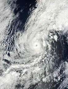 A visible satellite image of a well-defined hurricane with a clear eye and spiral banding.