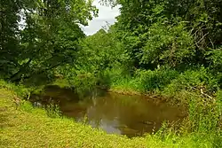 Peetri River in Karisöödi in the Peetri River Landscape Conservation Area