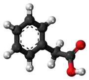 Ball-and-stick model of phenylacetic acid