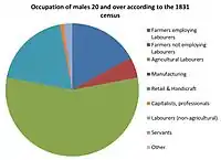 Occupation of males