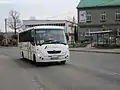 Bus