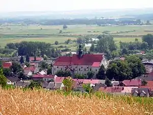 View from Mount St. Anne in Pińczów