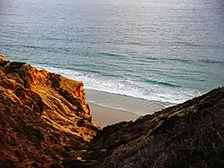 Beach at Torrey Pines