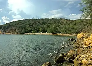 Playa Jaboncillo and Bosque Seco in Guánica