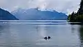 Porteau Cove Provincial Park