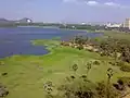 View of Powai lake