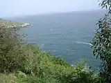 Turtle Stone Head and the Sea