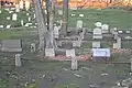 Gravestones in the cemetery