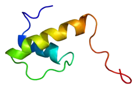 Protein EMD