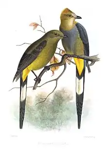 Illustration by Joseph Smit (1869)