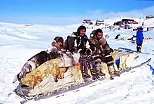 Image 42Some Inuit on a traditional qamutiik dog sled in Kinngait, Nunavut, Canada (from Indigenous peoples of the Americas)