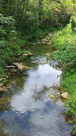 Indio River between Almirante Sur and Quebrada Arenas